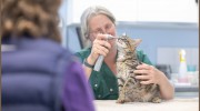 Crown House Vets
