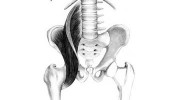 Hounslow Osteopaths