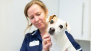 Grange Hill Veterinary Centre