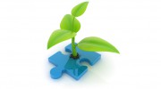 Lesley McGreavy Counselling