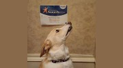 Alma Veterinary Surgery