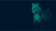 Lion Engineering Services