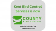 Kent Bird Control Services