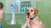 Chalks Road Veterinary Clinic