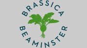 Brassica