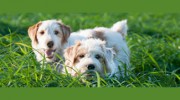 Bakewell Veterinary Clinic