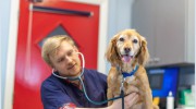 Eden Veterinary Centre