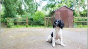 Caerleon Veterinary Practice