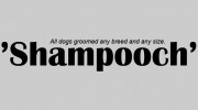 Shampooch