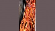 Hog Roast Harrogate