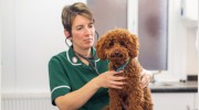 Corner House Veterinary Surgery