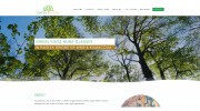 Green Yoga Kilmacolm