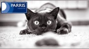 Parris Residential