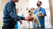 Tyne Veterinary Clinic