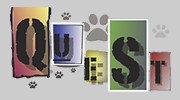 Quest Dog Foods