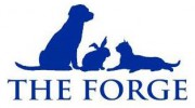 Forge Veterinary Centre
