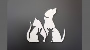 Kings Veterinary Centre