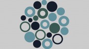Holley Optometrists