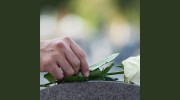 Lambert Funeral Directors