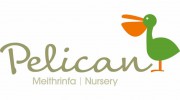 Pelican