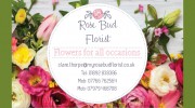 Rosebud