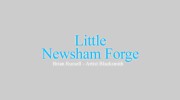 Little Newsham Forge