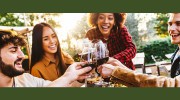 The Totnes Wine