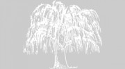 Willow Tree Primary School