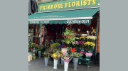 Primrose Florist