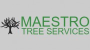 Maestro Tree Services