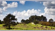Michael Brooker Estate Agents & Chartered Surveyors