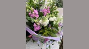 Endrick Blooms