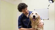 Lowesmoor Vets