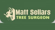 Matt Sellars Tree Surgeon