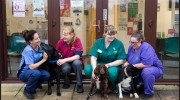 Millpark Vets