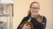 Northdale Veterinary Practice