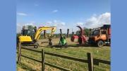 Golden Tree Surgeons