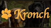 Kronch