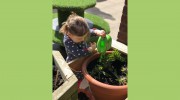 Farlington Day Nursery