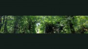 J A Stewart Tree Surgery & Woodland Management