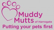 Muddy Mutts Of Harrogate