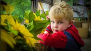 Kloisters Kindergarten & Pre-school