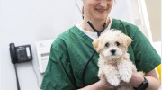 Graham's Road Veterinary Clinic