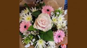 Lily Blossom Florists