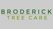 Broderick Tree Care