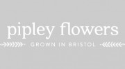 Pipley Flowers
