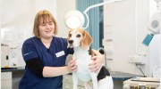Straid Veterinary Clinic