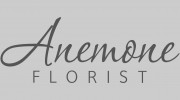 Anemone Florists