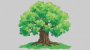 Little Acorns Day Nursery