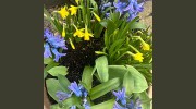 The Flower Shop Of Ashbourne